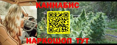 мяу мяу мука Будённовск